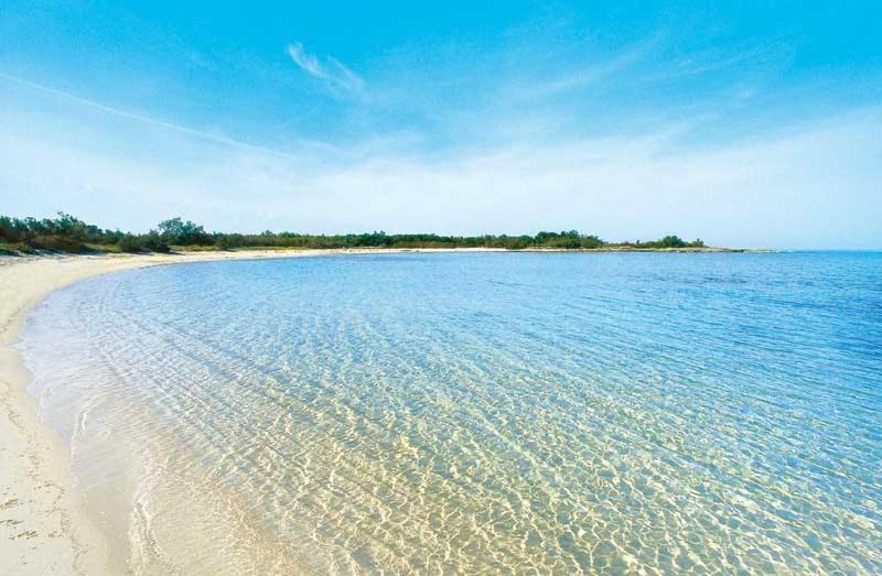 La Dimora Di Netta Villa กาโรวิญโญ ภายนอก รูปภาพ